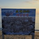 탐앤탐스 블랙 마시안점 | 탐앤탐스블랙마시안점 인천 영종도 마시안 주차정보...카페 갯벌체험 내돈내산 후기 갯벌체험 물때확인필