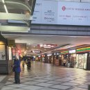 웰니스동물병원(롯데월드점) 이미지