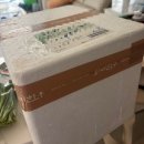 불안이 많은 아이 , 어떻게 도와 줄까? | 이제는 보내주고 싶어서 기록하는 중기유산 기록 2