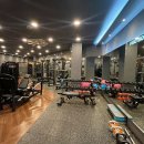 프로바디핏 이미지