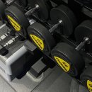 DK퍼스널트레이닝 | [혜화 피티샵] DK퍼스널트레이닝 20회 후기 (장소 리뷰/ 다이어트/ 식단)