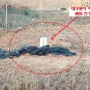 교동면-1 이미지