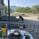 북면153 | 가평 애견동반 식당 이곡둑길153 숯불닭갈비 남이섬 여행