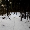 내촌삼거리 버스정류장(40574) | 천마지맥 제1구간 명덕삼거리에서 금단이고개까지 산행 후기