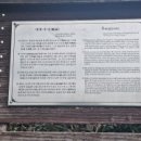 대계사 네이버블로그
