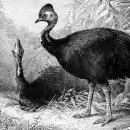 인간+자연 이미지