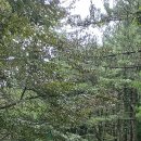 제주폴리아트센터 이미지