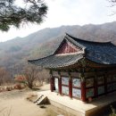 토지면 연곡사 입구 이미지