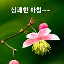 상쾌한아침