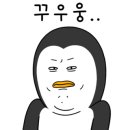 마마포레스트 이미지