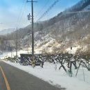 관리도 펜션,길민박 이미지