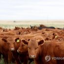 이지사이언스 연합뉴스