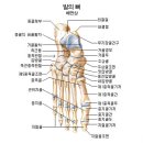 부천스포츠