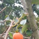 훈이농장 이미지