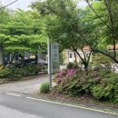 내리금봉캠핑장 이미지