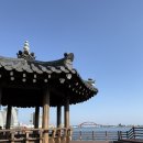 칠성에너지 | 아기랑 속초여행 이색 카페 추천-칠성조선소🚢/아기의자 없음/청초호 뷰맛집/굿즈/주차정보