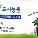 평안식당 이미지