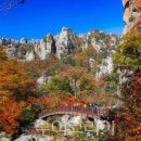 (주)아침환경공사 이미지