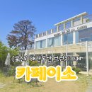 정원이 예쁜 울산 간절곶 카페이소 애견동반 브런치 후기