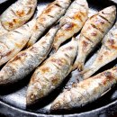 꼼꼼건강 이미지