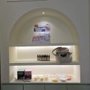 이웃집 댕댕이 이미지