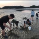 해변민박펜션
