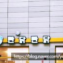 빤닭빤닭퍼블릭 이미지