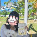 단비케이크 | 미사 주문제작케이크, 와키케이크 후기🎂 단비 얼굴 케이크 완성!