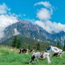 산기슭목장 이미지