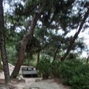 영신다방