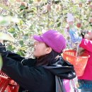 이경숙농장 이미지