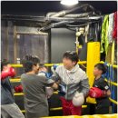 최고체육관 복싱클럽 | 마포복싱 스트레스 해소 최고! 마포체육관 레드복싱클럽(마포)에서 건강과 활력 되찾았어요
