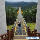 봉명산 | 문경 봉명산 출렁다리 방문 후기