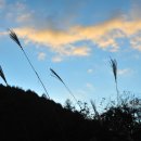 화천산소길 이미지