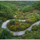 보발재 정상 주차장 이미지