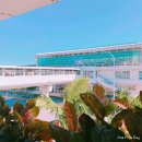 개인화물905 | 피치항공 오키나와 귀국편 MM905 탑승후기: 오키나와 나하공항 LCC터미널 찾아가는 법