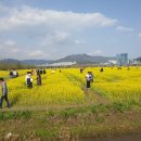 대저생태공원 이미지