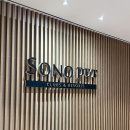 스위트펫 | 홍천 비발디파크 소노펫 골드스위트 내돈내산 후기,어메니티 및 꿀팁