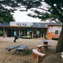 오케이사슴목장 이미지