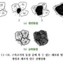 예담식품