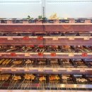 갑-140 | 홍대입구역 맛집 탐방 | 중독성 갑! 상하이 마라꼬치튀김 내돈내산 후기