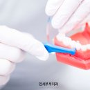 부부치과 네이버블로그