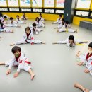 단국대 백호 태권도장 이미지