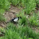 베말공원 이미지