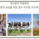 친환경화식농장 이미지