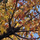 꿈꾸는 열매-Gro | 공든 탑, 비우고 버리는 마음, 11월에 꿈꾸는 사랑, 이순신 장군의 명언 외