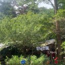 단군산장 | 서울 계곡 백숙 북한산 맛집 단군산장 예약 내돈내산 낮술 후기