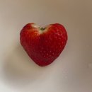 건우식육식당 이미지