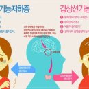 대한갑상선영상의학회