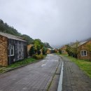 심포리 | 강원도 하이원 추추파크 삼척 스위치백 트레인 후기｜아이와 함께한 네이쳐 1박2일 숙박 체험기